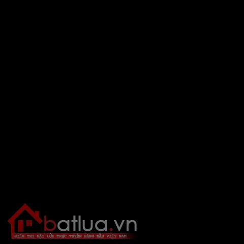 Bật lửa Star  khắc hoa văn nổi khắp bật lửa sang trọng